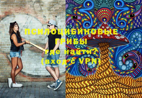 apvp Армянск